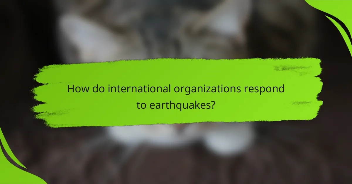 How do international organizations respond to earthquakes?