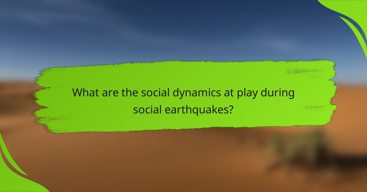 What are the social dynamics at play during social earthquakes?